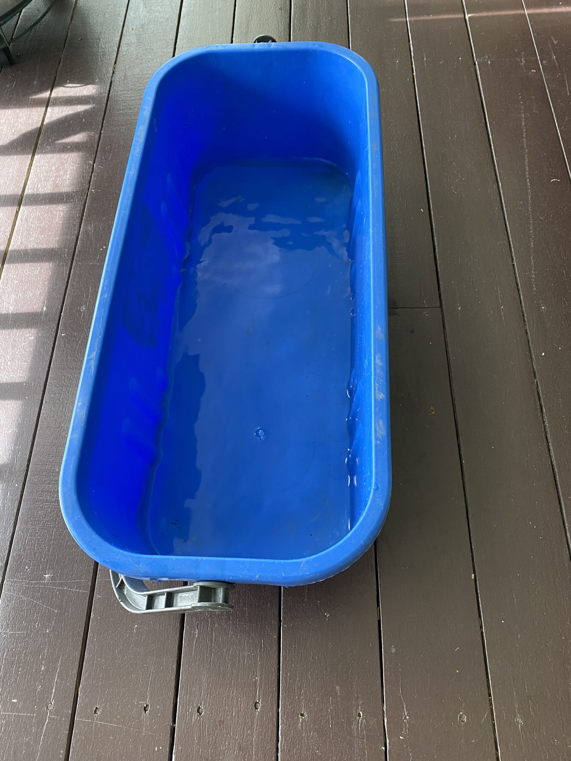 A bucket of soapy water — the base for your window cleaning solution